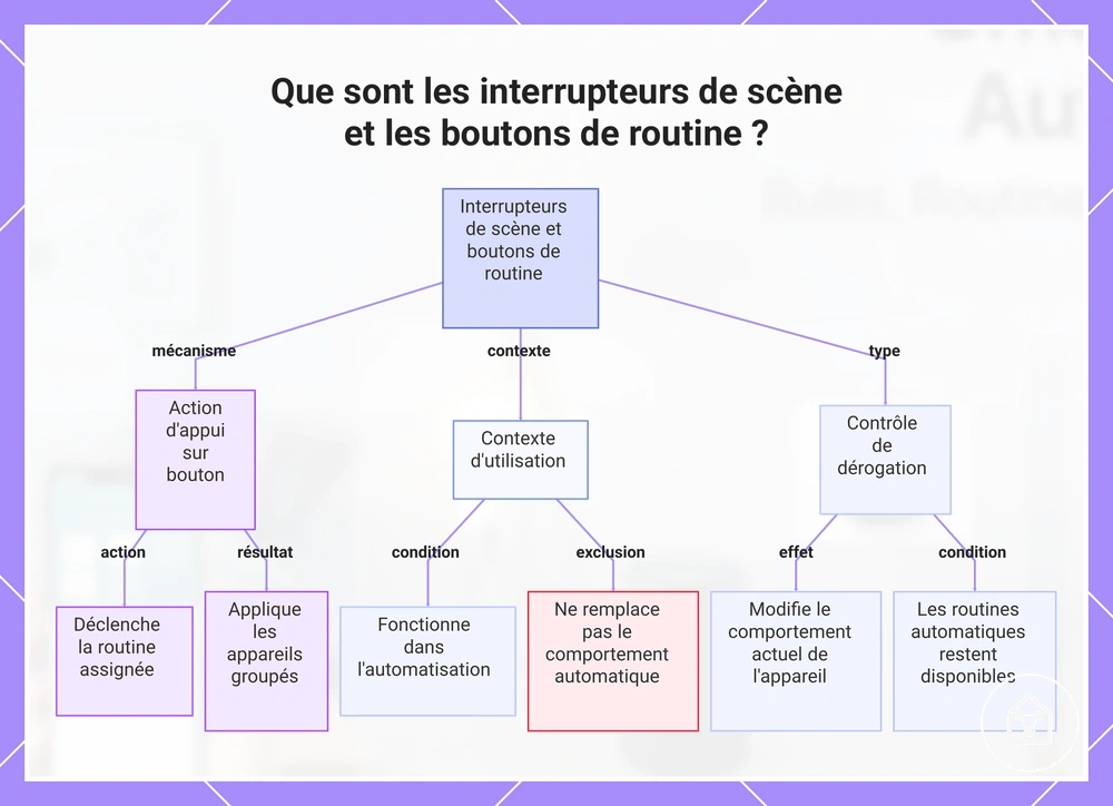 Que sont les interrupteurs de scène et les boutons de routine ?