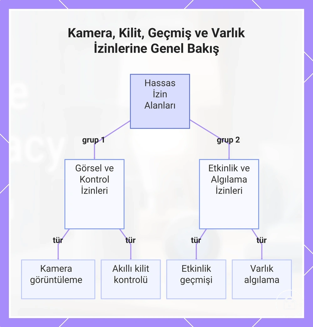 Kamera, Kilit, Geçmiş ve Varlık İzinlerine Genel Bakış