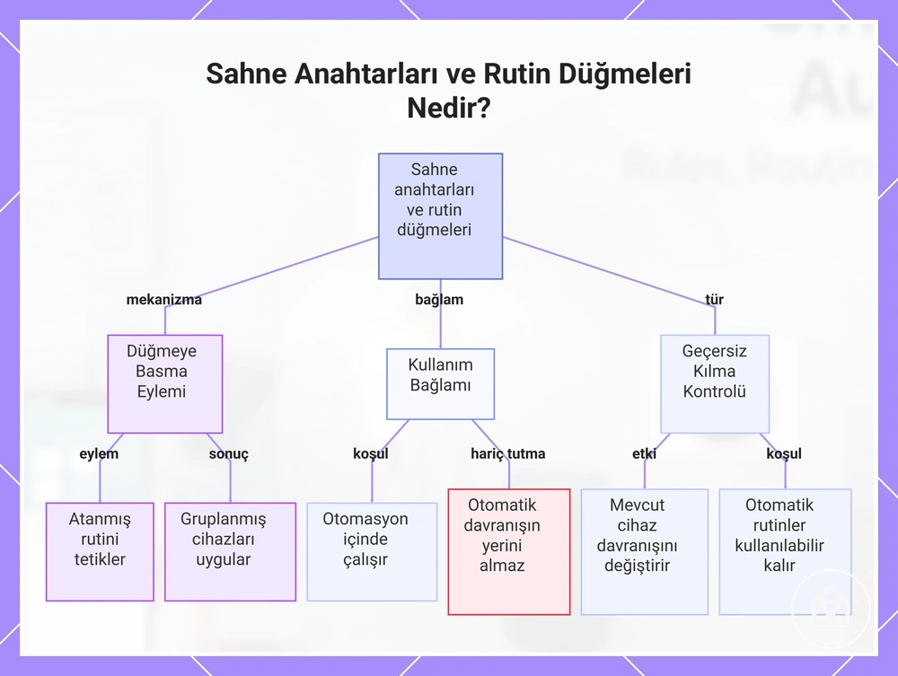 Sahne Anahtarları ve Rutin Düğmeleri Nedir?