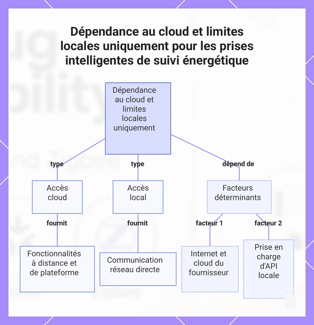 Dépendance au cloud et limites locales uniquement pour les prises intelligentes de suivi énergétique