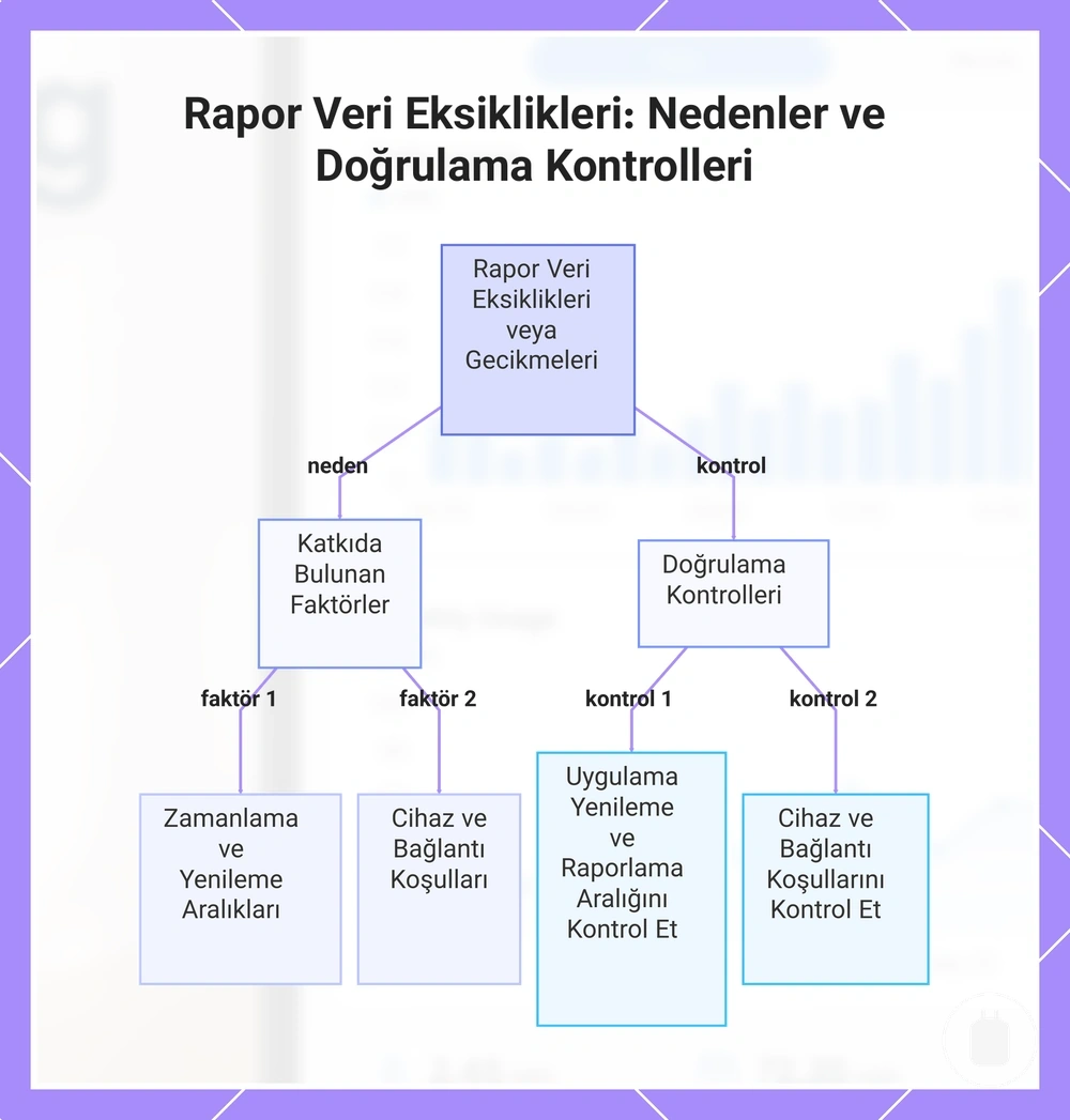 Rapor Veri Eksiklikleri: Nedenler ve Doğrulama Kontrolleri